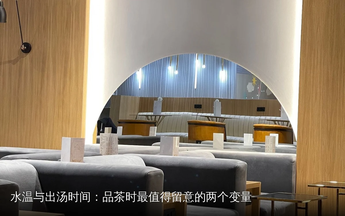水温与出汤时间：品茶时最值得留意的两个变量
